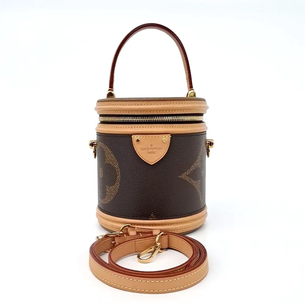 Louis Vuitton Giant Monogram Cannes Vanity Bag
