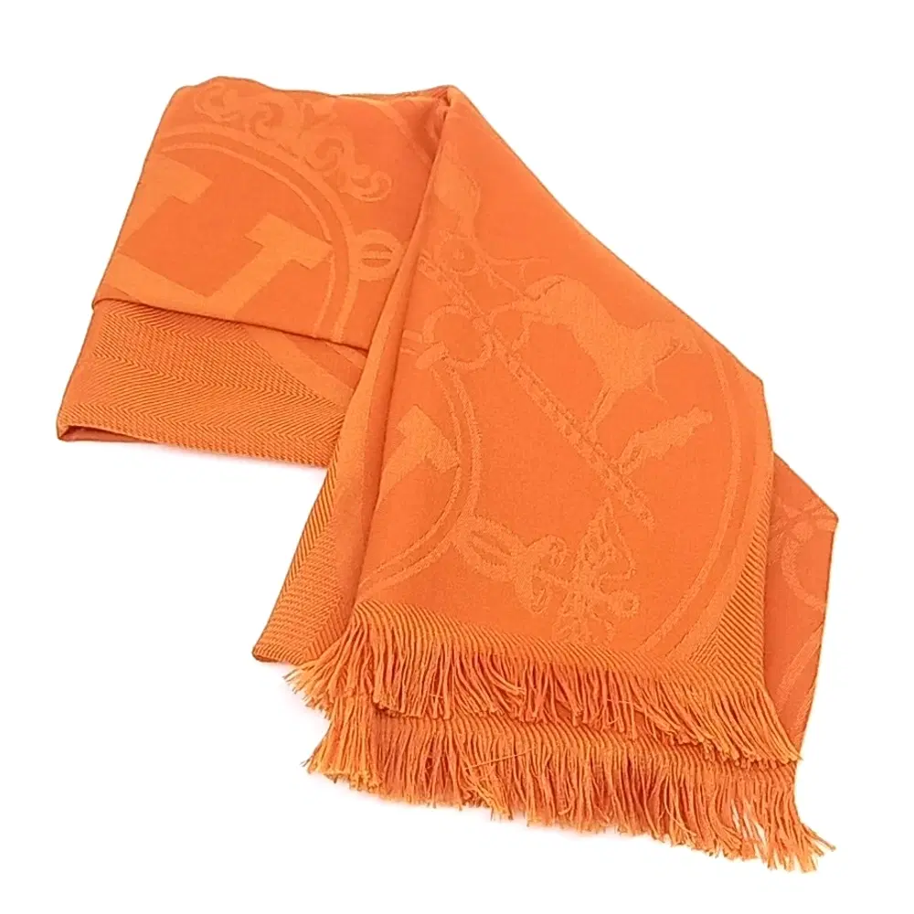 Hermès Shawl And Muffler