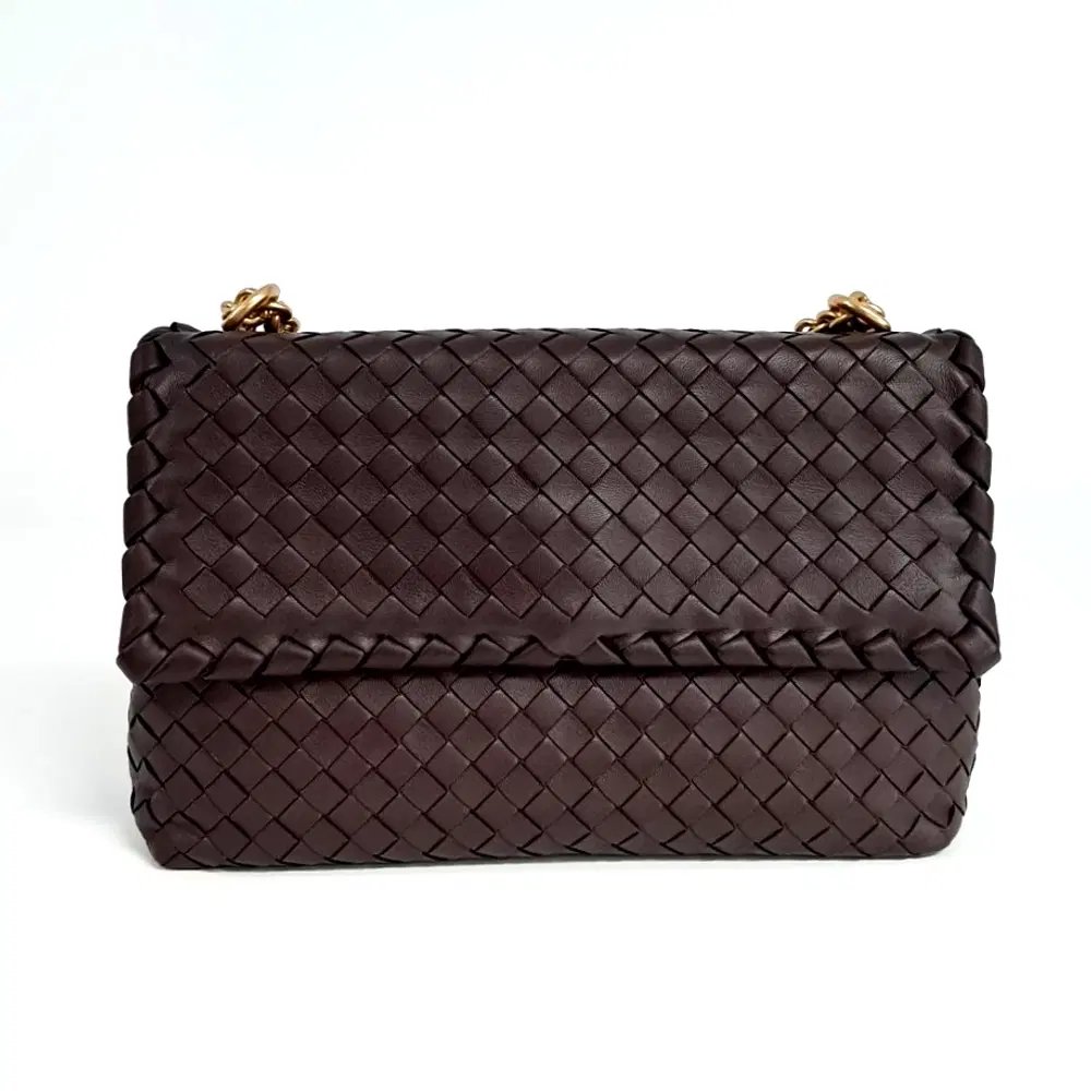 Bottega Veneta Mesh Olympia Bag