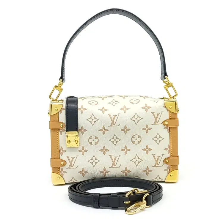 Louis Vuitton Side Trunk Mm-Hover-Image