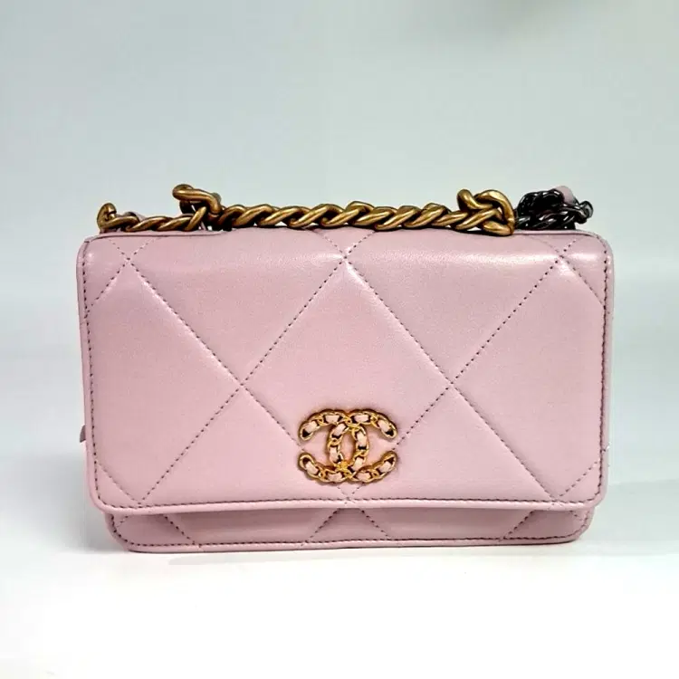 Chanel 19 Woc Mini Crossbody Bag-Hover-Image