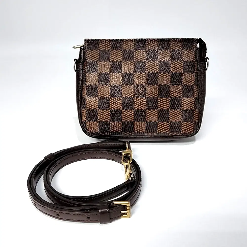 Louis Vuitton Damier Truth Pouch Bag & Strap