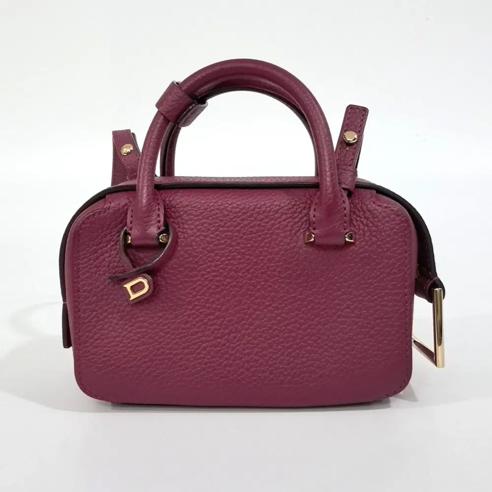 Delvaux Coolbox Nano