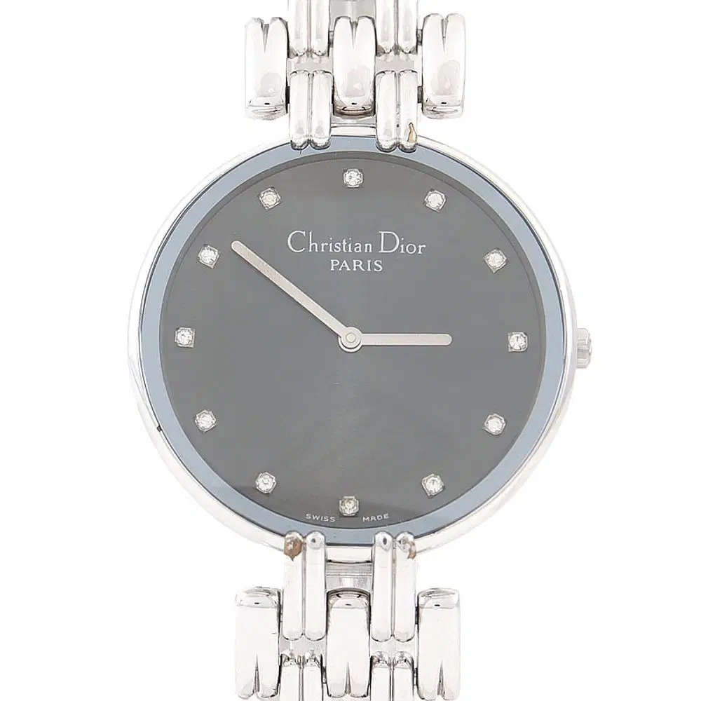 Christian Dior Bagira Diamond Steel Watch (D47-120)