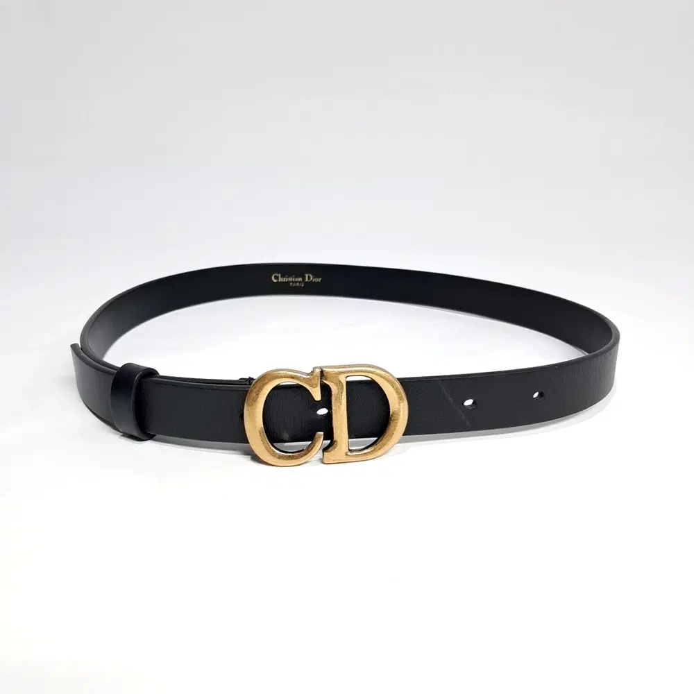 Christian Dior Saddle Belt B0042