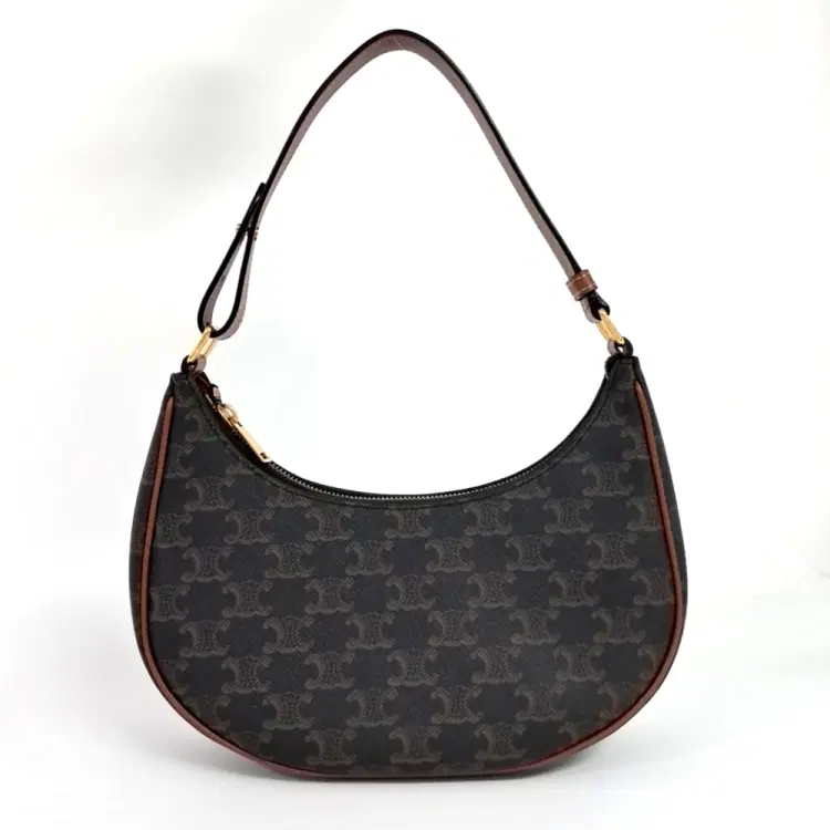 Celine Triumph Ava Hobo Bag-Hover-Image