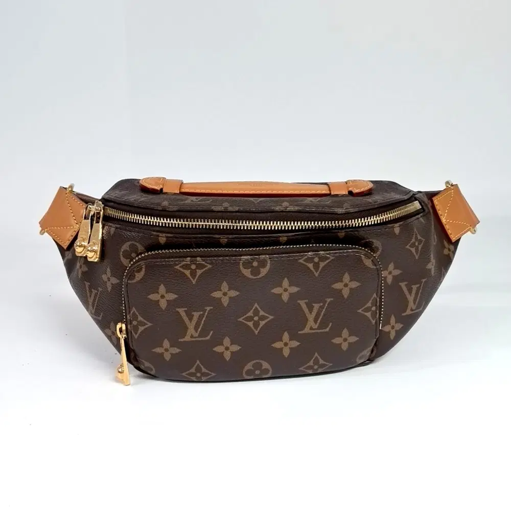 Louis Vuitton Monogram Rush Bum Bag M14019