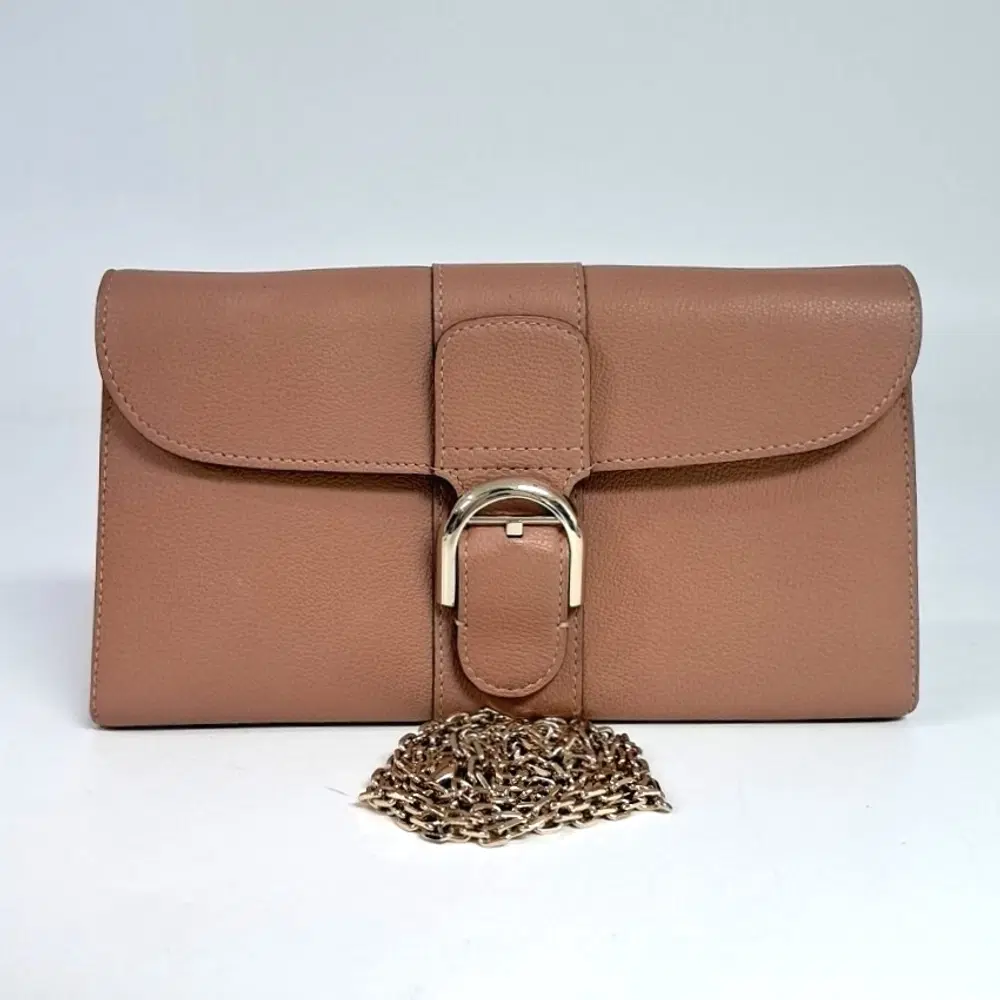 Delvaux Brillant Long Wallet