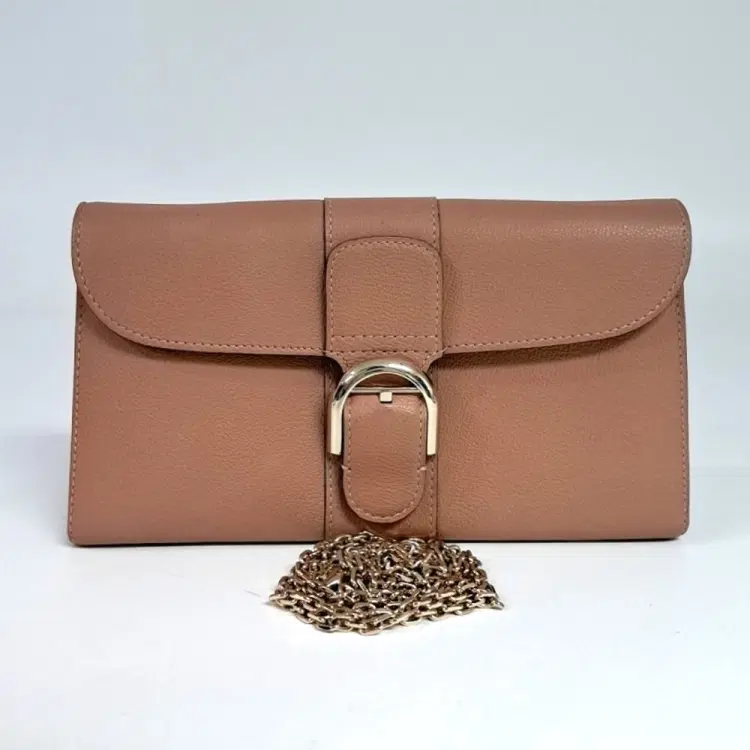Delvaux Brillant Long Wallet-Hover-Image