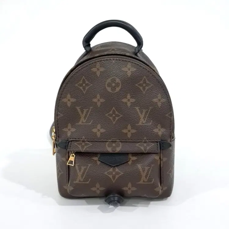 Louis Vuitton Monogram Palm Springs Backpack Mini M44873-Hover-Image