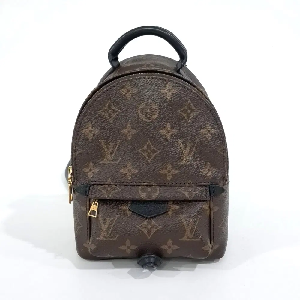 Louis Vuitton Monogram Palm Springs Backpack Mini M44873