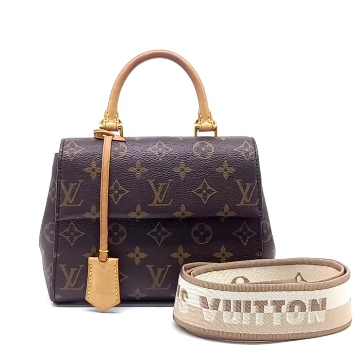 Louis Vuitton Monogram Cluny Mini-Hover-Image