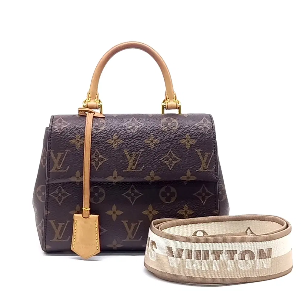 Louis Vuitton Monogram Cluny Mini