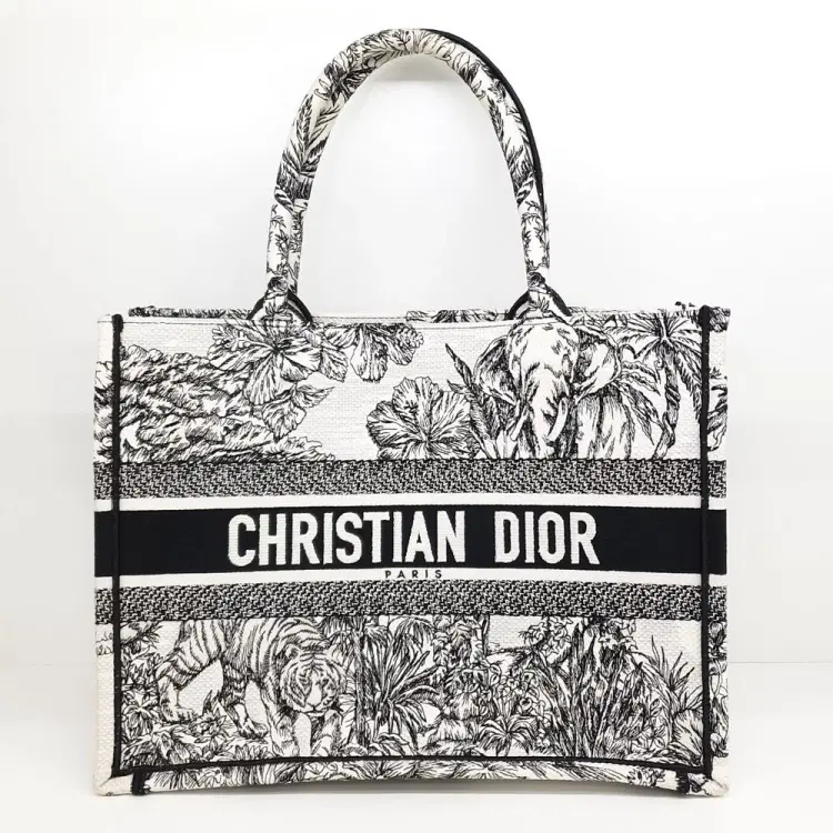 Christian Dior Book Tote Bag 36-Hover-Image