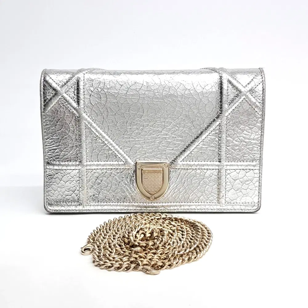 Christian Dior Diorama Chain Crossbody Bag
