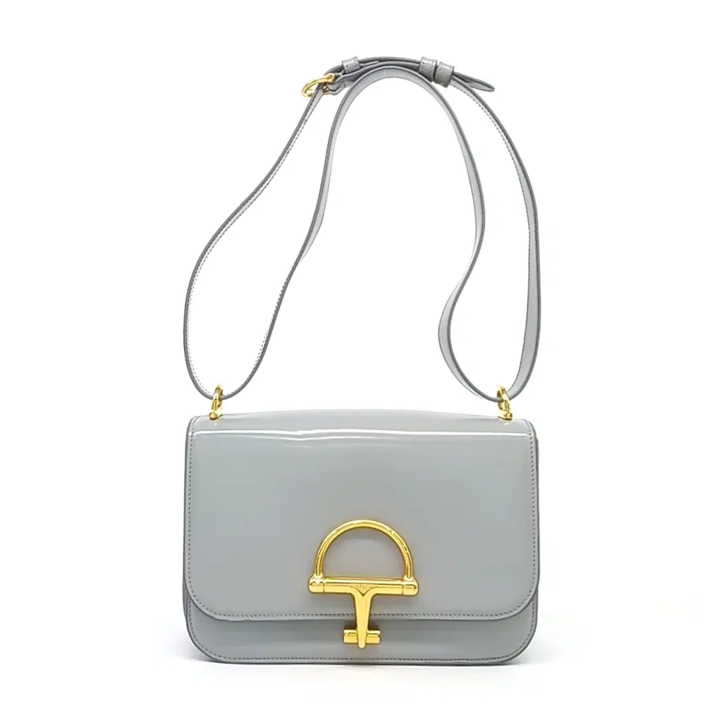 Gucci Sienna Small Shoulder Bag (846705)