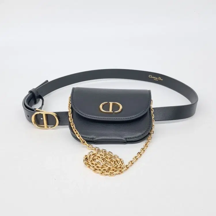 Christian Dior Montaigne Belt Bag-Hover-Image