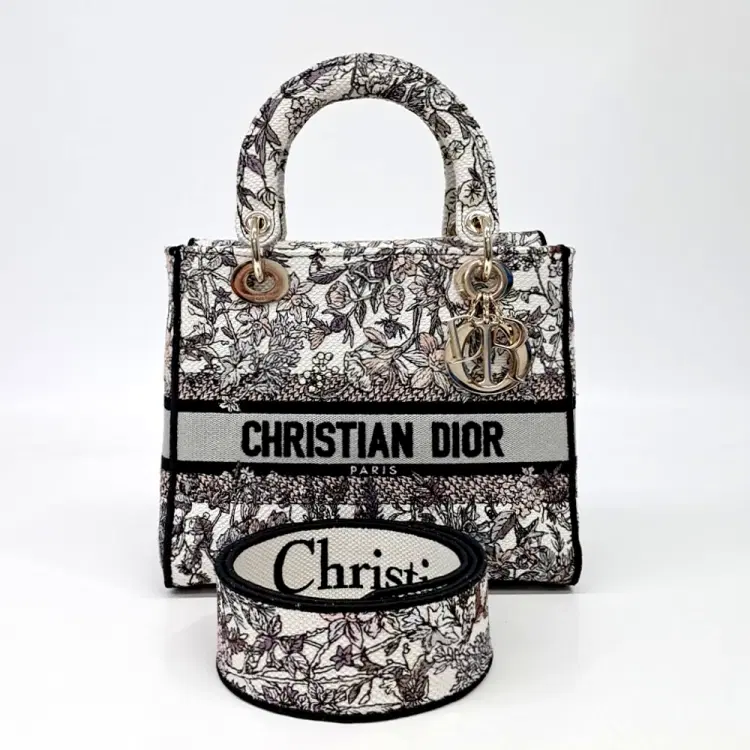 Christian Dior D-Lite Lady Bag Medium-Hover-Image