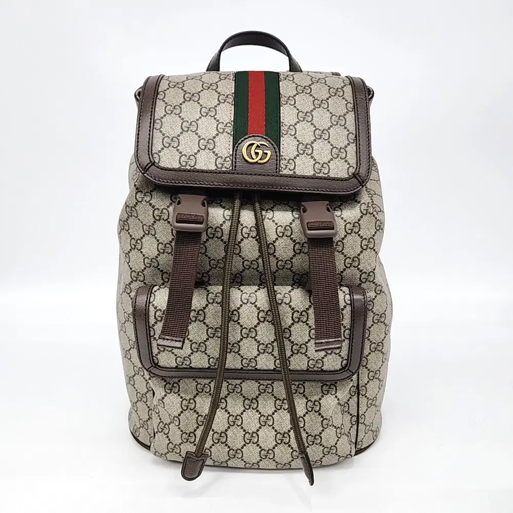Gucci Ophidia Small Backpack(792114)