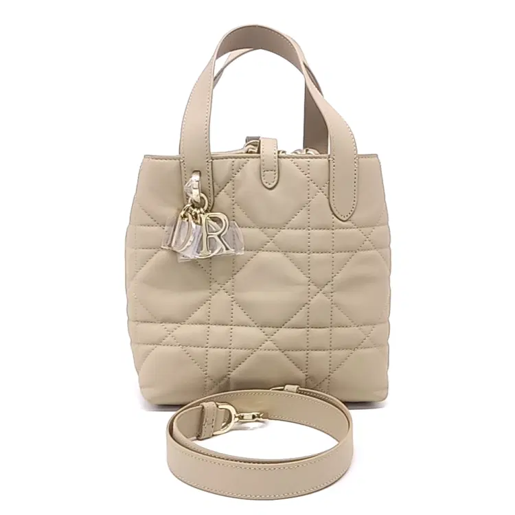 Christian Dior Toujours Vertical Small M2835Osnw-Hover-Image