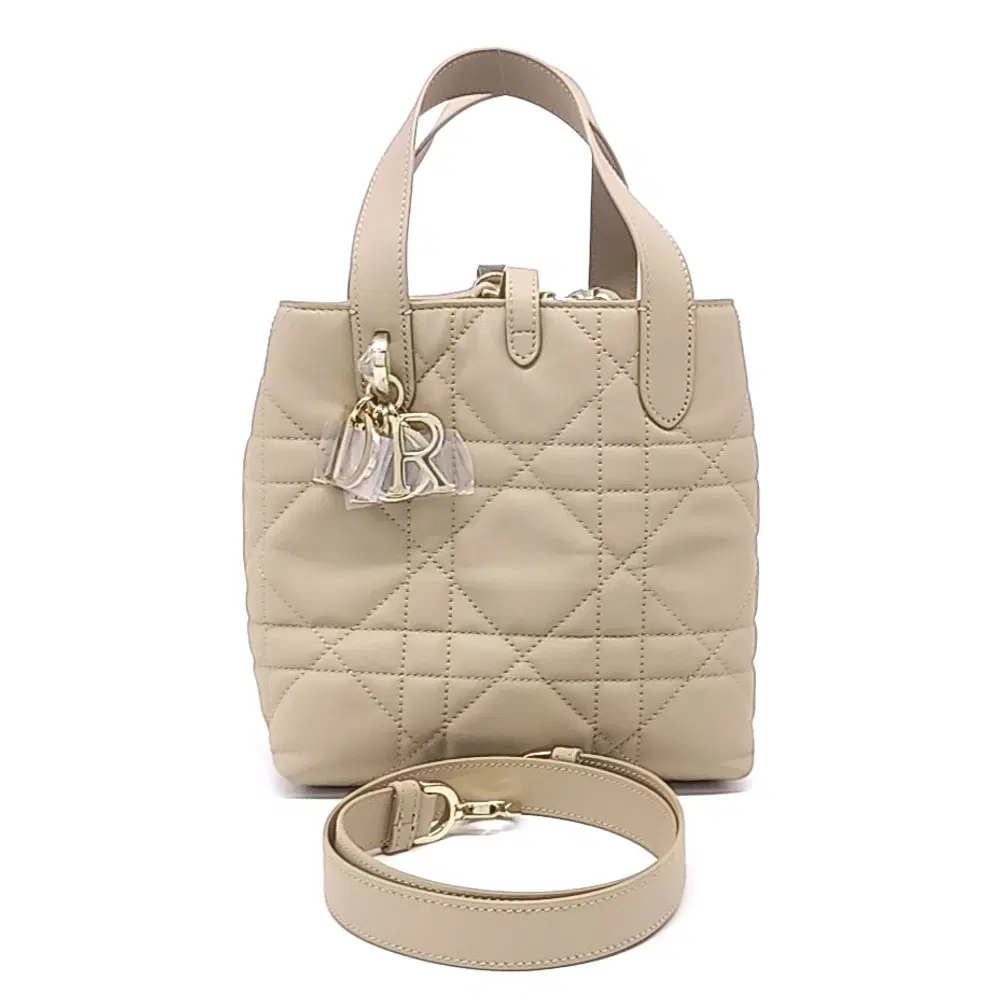 Christian Dior Toujours Vertical Small M2835Osnw