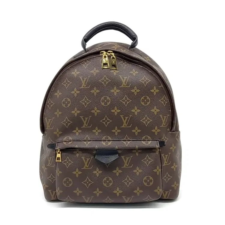 Louis Vuitton Monogram Palm Springs Backpack Mm-Hover-Image