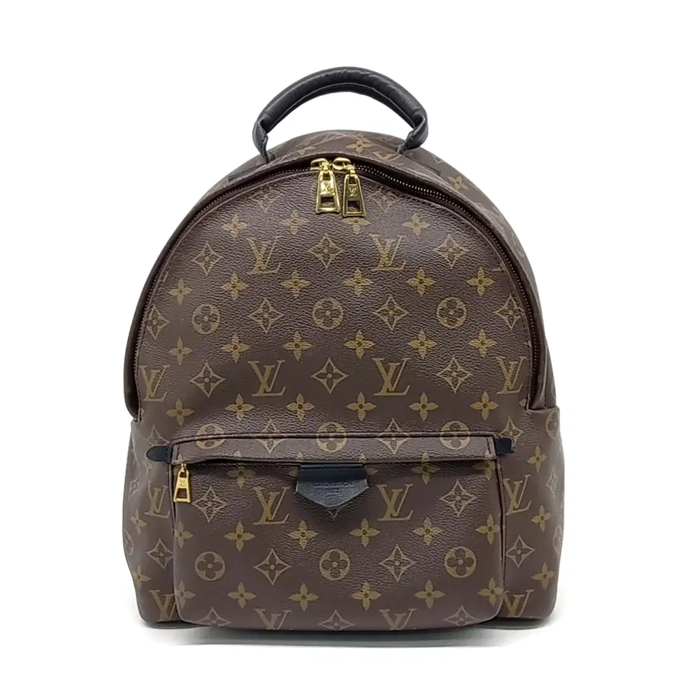 Louis Vuitton Monogram Palm Springs Backpack Mm