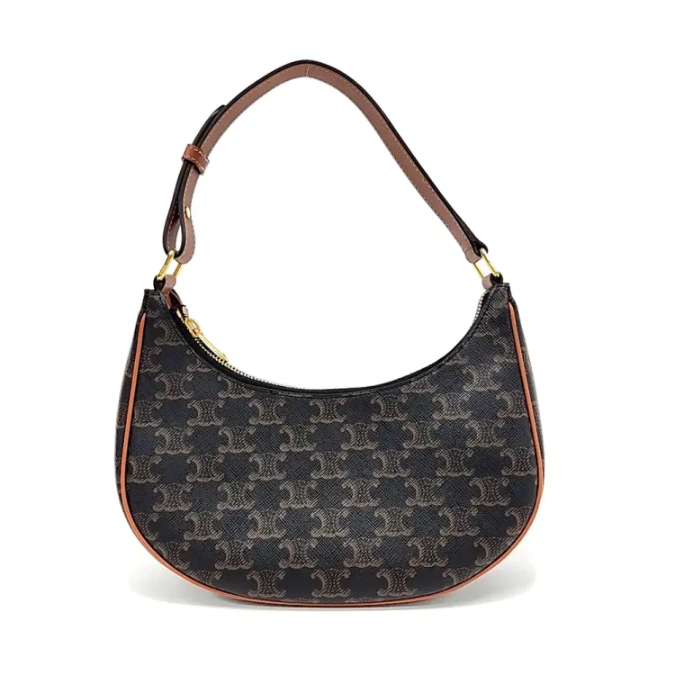 Celine Triomphe Ava Hobo Bag-Hover-Image
