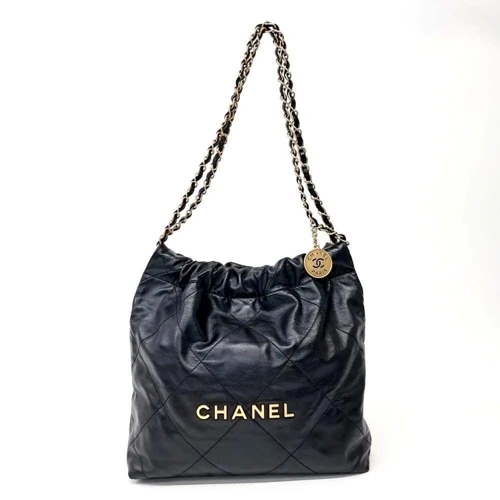 Chanel 22 Bag 30