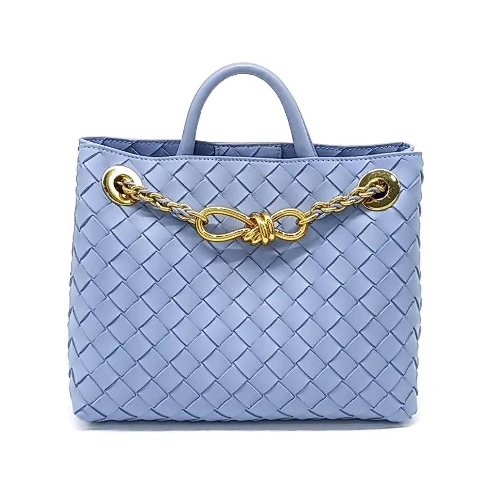 Bottega Veneta Andiamo Small