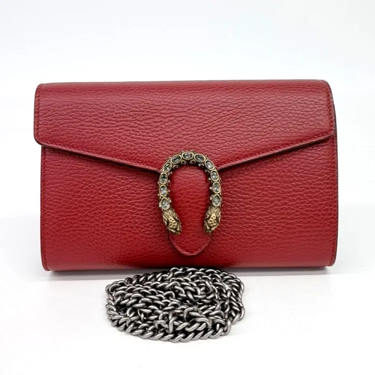 Gucci Dionysus Mini Chain Bag (401231)-Hover-Image