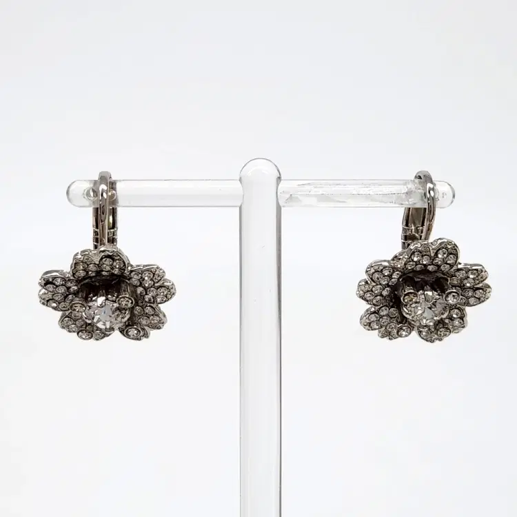 Roger Vivier Clip Type Earrings-Hover-Image
