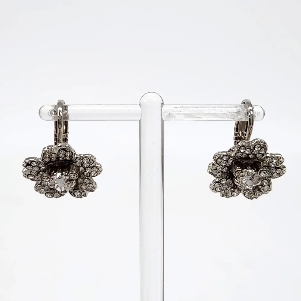 Roger Vivier Clip Type Earrings