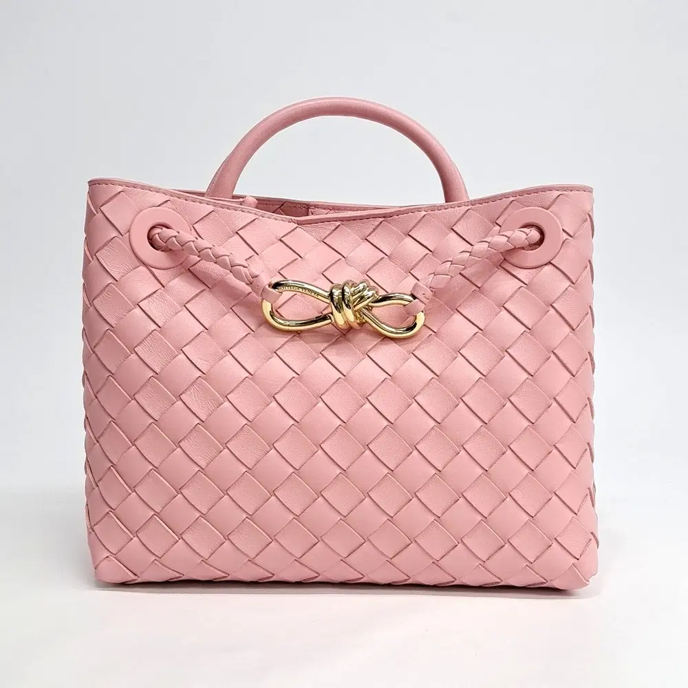 Bottega Veneta Andiamo Small