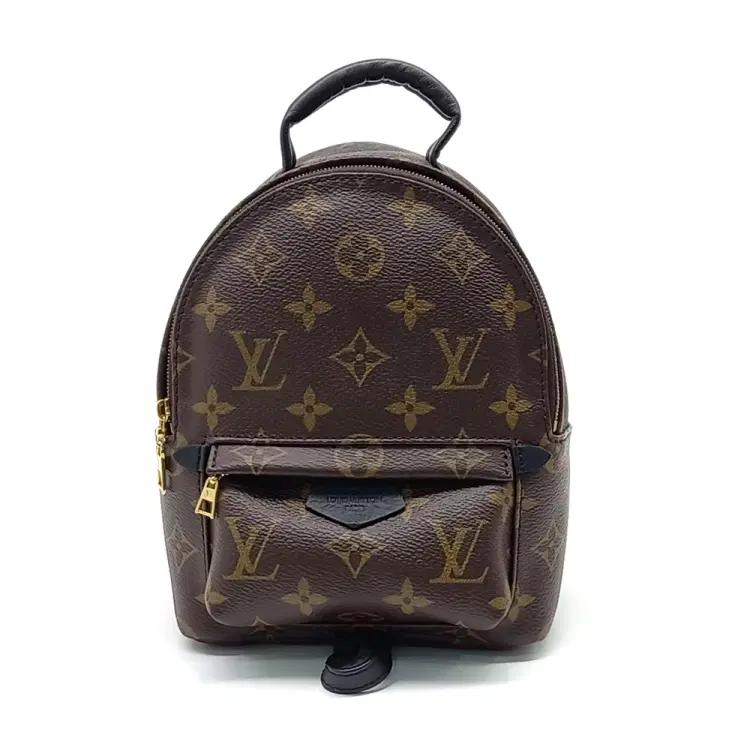 Louis Vuitton Palm Springs Backpack Mini M44873-Hover-Image