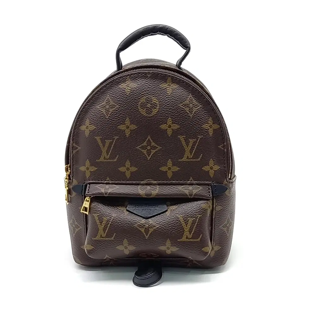 Louis Vuitton Palm Springs Backpack Mini M44873