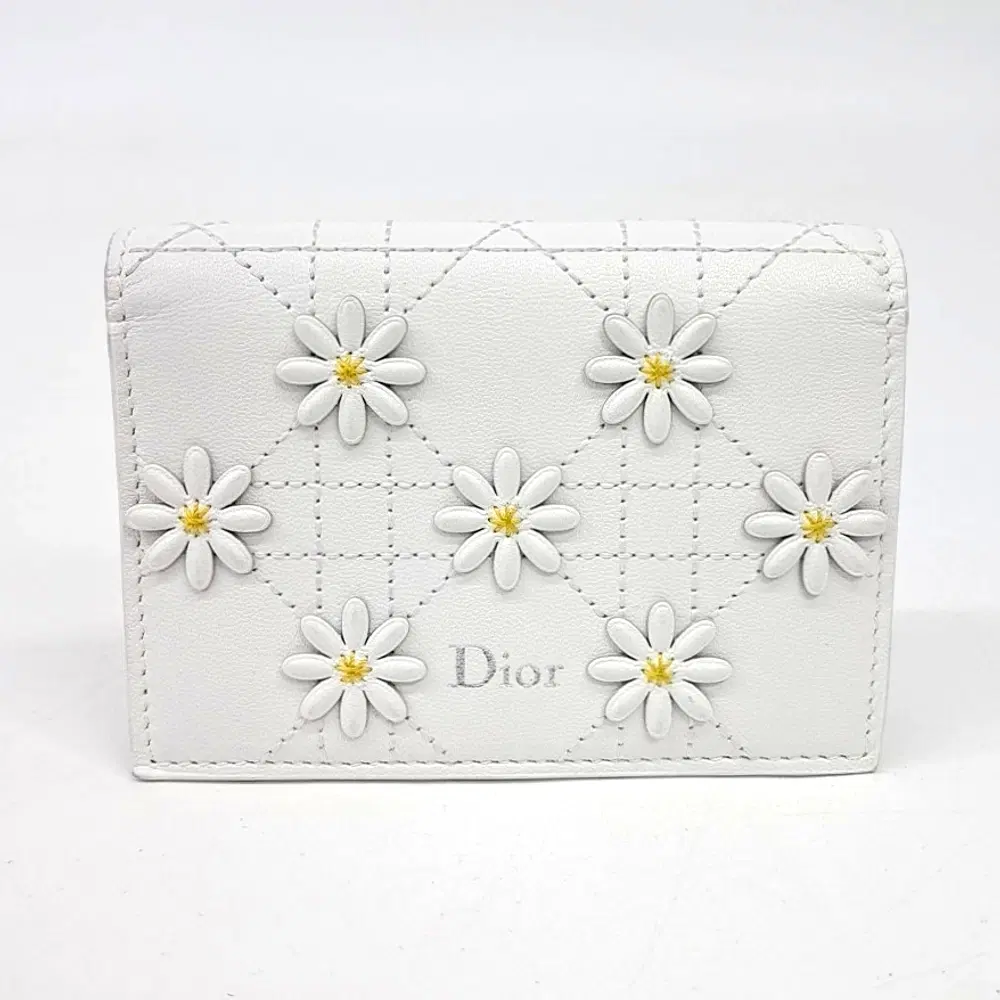 Christian Dior Cardholder
