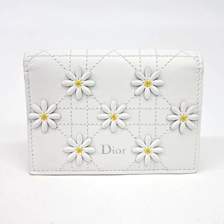 Christian Dior Cardholder-Hover-Image