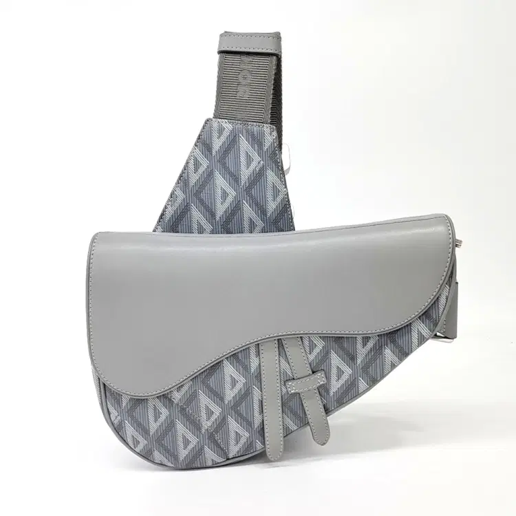 Dior Homme Saddle Bag-Hover-Image