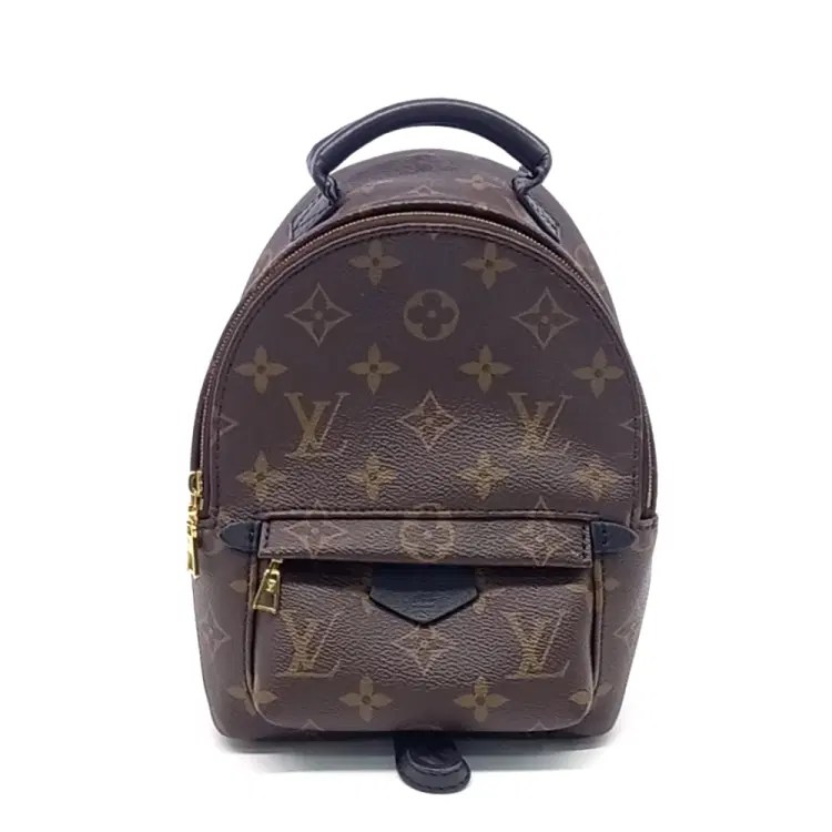 Louis Vuitton Palm Springs Mini Backpack-Hover-Image