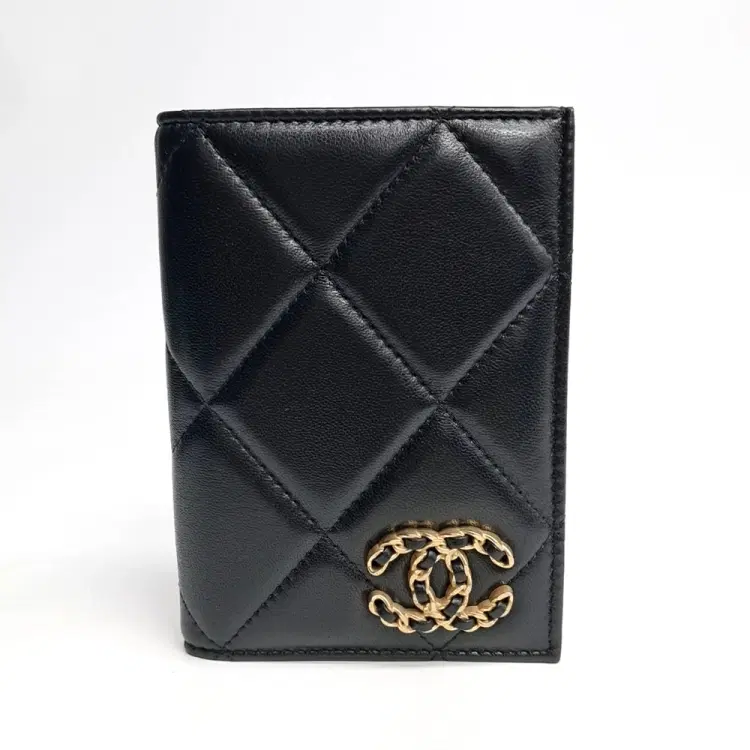 Chanel 19 Passport Wallet Ap3363-Hover-Image
