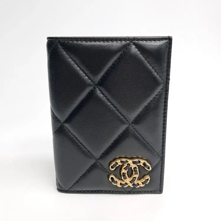 Chanel 19 Passport Wallet Ap3363-Hover-Image