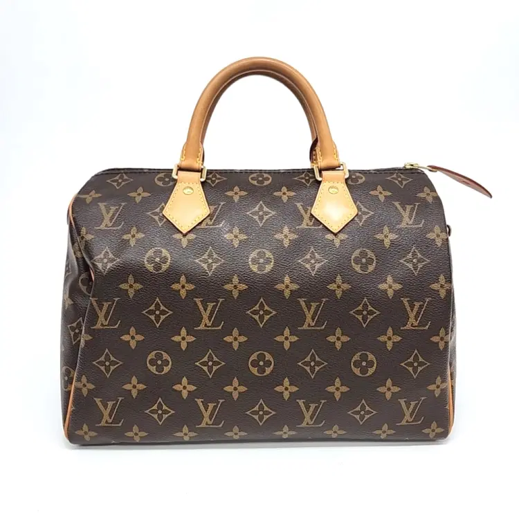 Louis Vuitton Monogram Speedy 30-Hover-Image