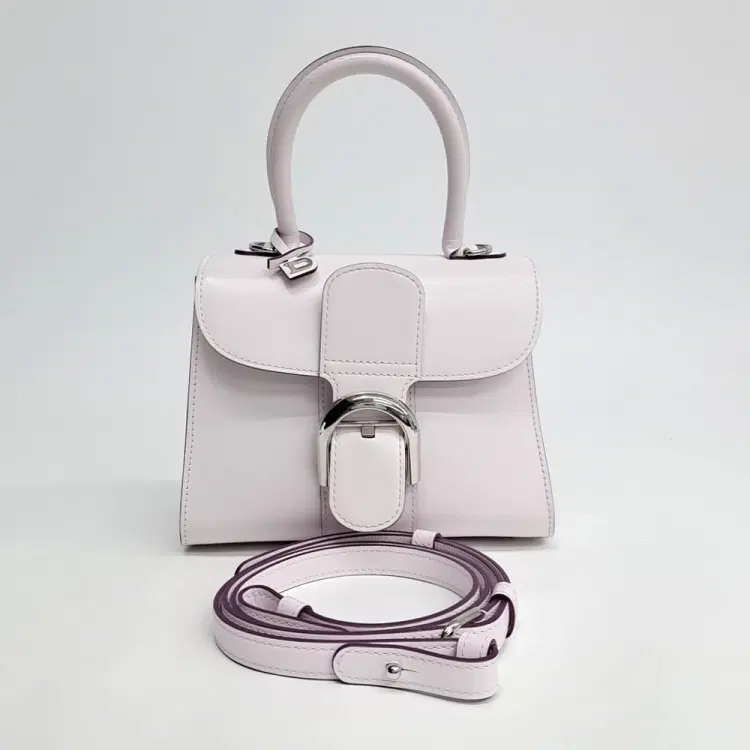 Delvaux Brillant Mini Box-Hover-Image