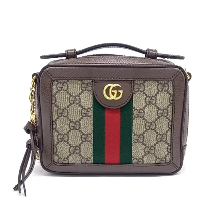 Gucci Ophidia Gg Mini Camera Bag (602576)-Hover-Image