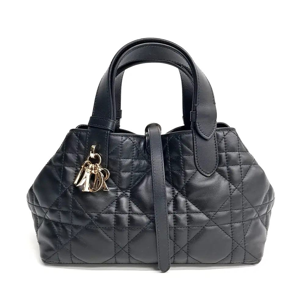 Christian Dior Toujours Small