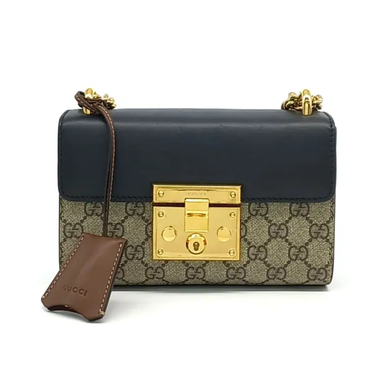 Gucci Supreme Shoulder Bag (409487)-Hover-Image