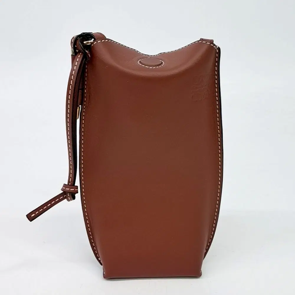 Loewe Gate Pocket Bag