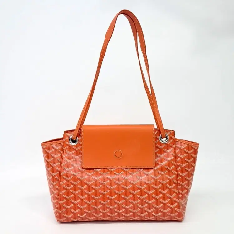 Goyard Louette Pm-Hover-Image