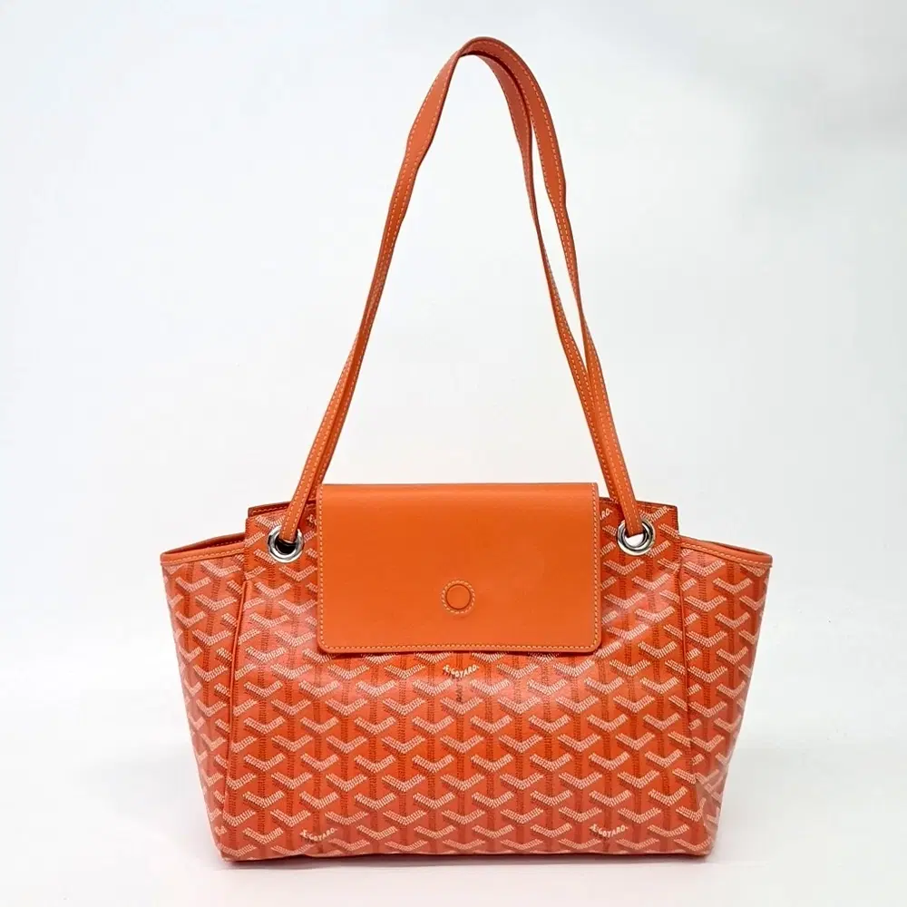 Goyard Louette Pm